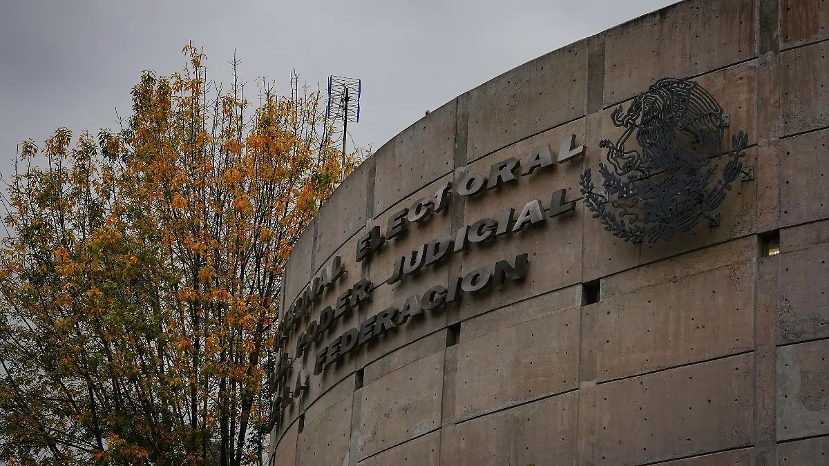 _Tribunal Electoral del Poder Judicial de la Federación